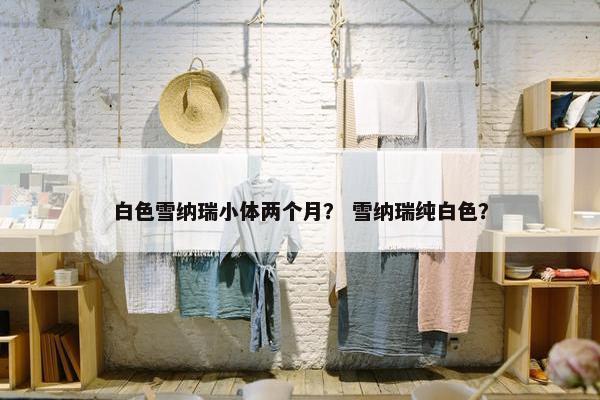 白色雪纳瑞小体两个月？ 雪纳瑞纯白色？