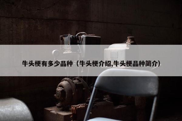 牛头梗有多少品种（牛头梗介绍,牛头梗品种简介）