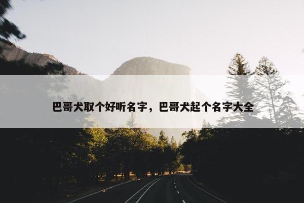 巴哥犬取个好听名字，巴哥犬起个名字大全