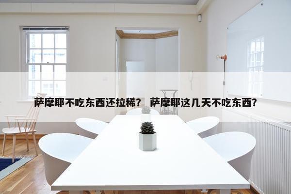 萨摩耶不吃东西还拉稀？ 萨摩耶这几天不吃东西？