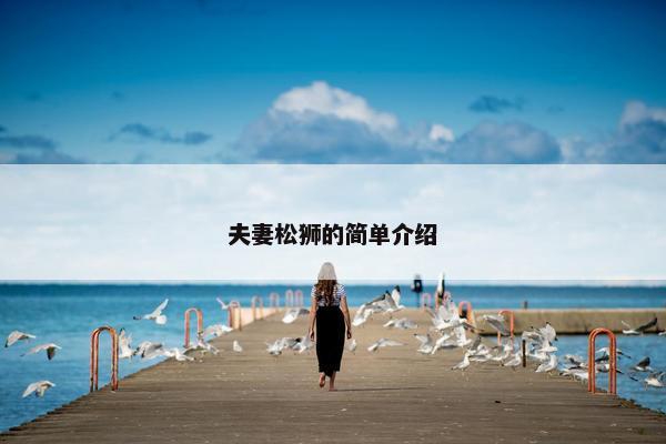 夫妻松狮的简单介绍