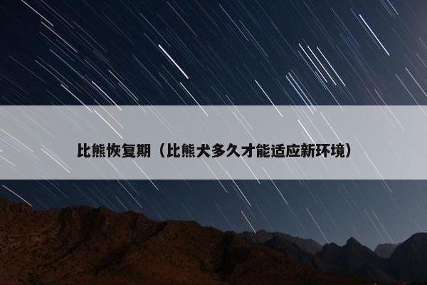 比熊恢复期（比熊犬多久才能适应新环境）