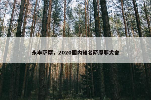 永丰萨摩，2020国内知名萨摩耶犬舍