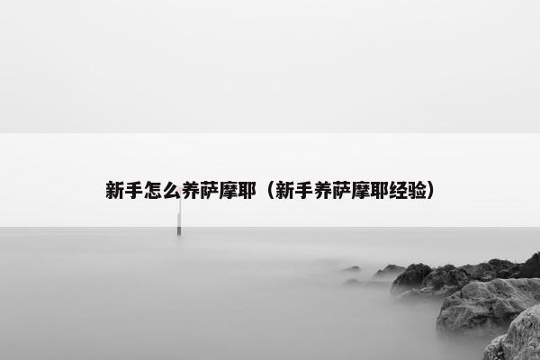 新手怎么养萨摩耶（新手养萨摩耶经验）