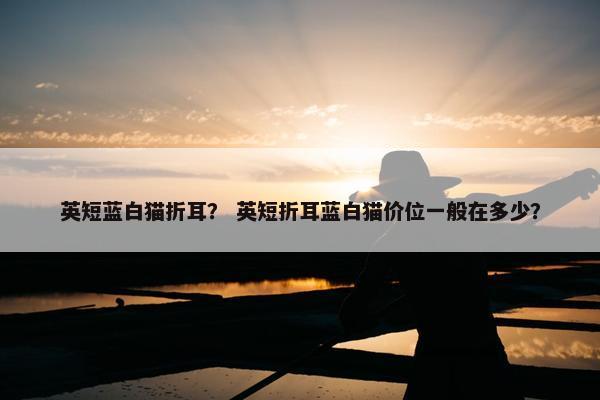 英短蓝白猫折耳？ 英短折耳蓝白猫价位一般在多少？
