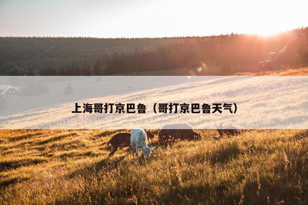 上海哥打京巴鲁（哥打京巴鲁天气）