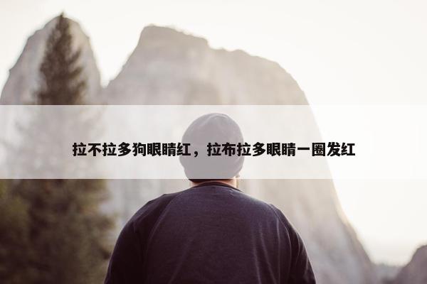 拉不拉多狗眼睛红，拉布拉多眼睛一圈发红