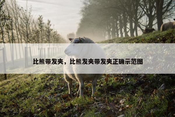 比熊带发夹，比熊发夹带发夹正确示范图