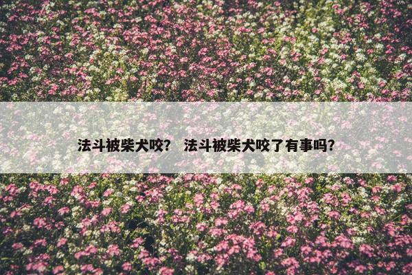 法斗被柴犬咬？ 法斗被柴犬咬了有事吗？