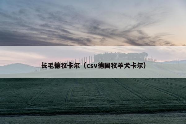 长毛德牧卡尔（csv德国牧羊犬卡尔）