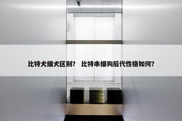 比特犬细犬区别？ 比特串细狗后代性格如何？