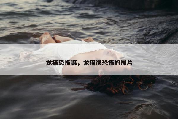 龙猫恐怖嘛，龙猫很恐怖的图片