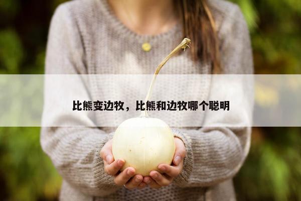 比熊变边牧，比熊和边牧哪个聪明