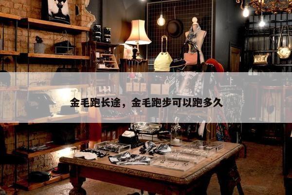 金毛跑长途，金毛跑步可以跑多久