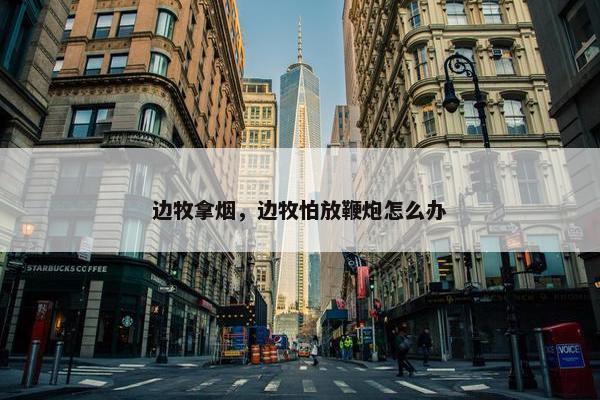 边牧拿烟，边牧怕放鞭炮怎么办