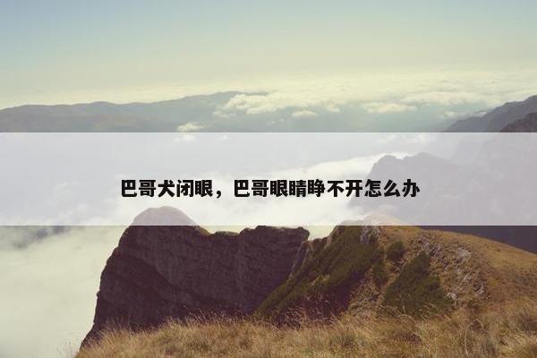 巴哥犬闭眼，巴哥眼睛睁不开怎么办