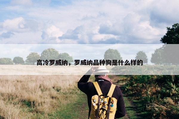 高冷罗威纳，罗威纳品种狗是什么样的