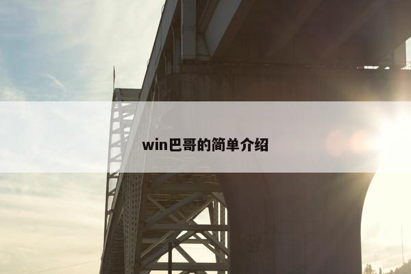 win巴哥的简单介绍