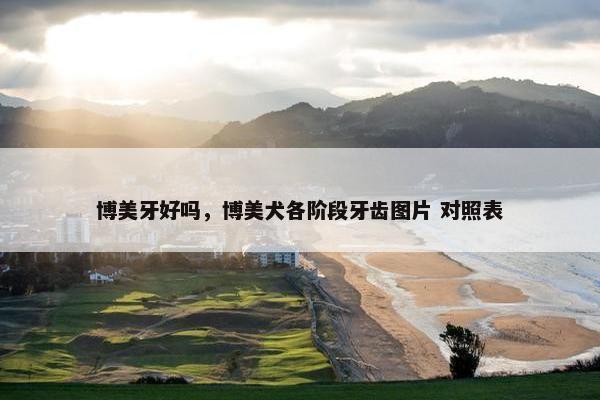 博美牙好吗，博美犬各阶段牙齿图片 对照表
