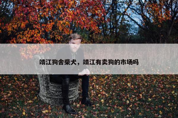 靖江狗舍柴犬，靖江有卖狗的市场吗