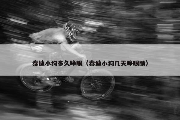 泰迪小狗多久睁眼（泰迪小狗几天睁眼睛）