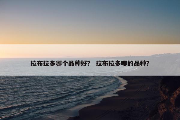 拉布拉多哪个品种好？ 拉布拉多哪的品种？