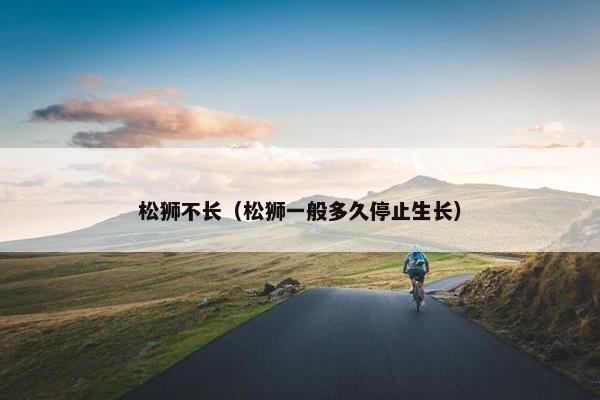松狮不长（松狮一般多久停止生长）