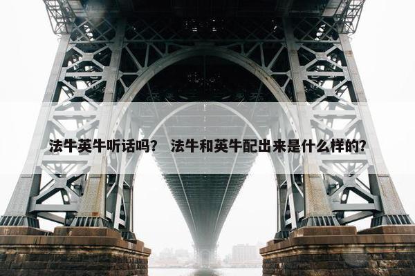 法牛英牛听话吗？ 法牛和英牛配出来是什么样的？