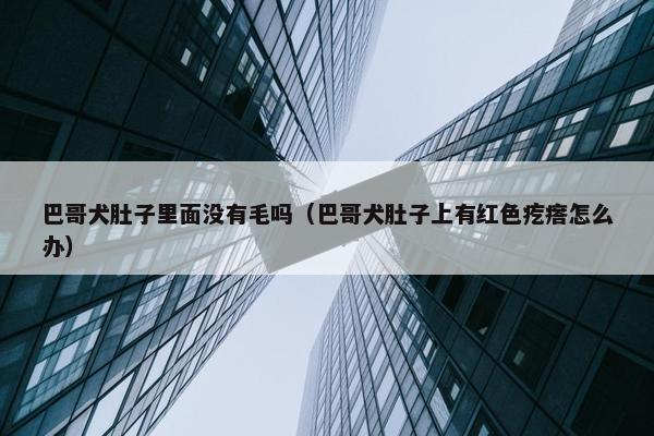 巴哥犬肚子里面没有毛吗（巴哥犬肚子上有红色疙瘩怎么办）