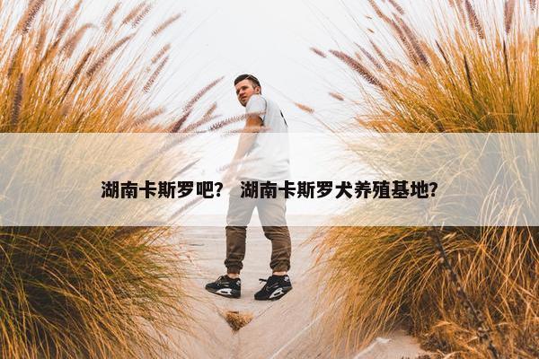 湖南卡斯罗吧？ 湖南卡斯罗犬养殖基地？