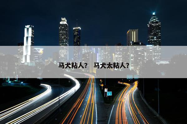 马犬粘人？ 马犬太粘人？