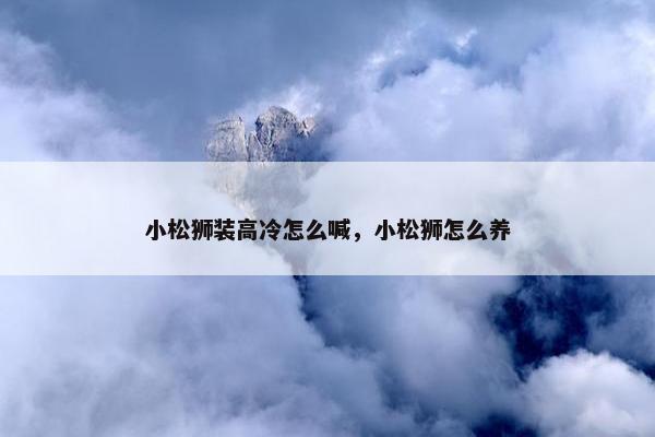 小松狮装高冷怎么喊，小松狮怎么养
