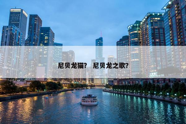尼贝龙猫？ 尼贝龙之歌？
