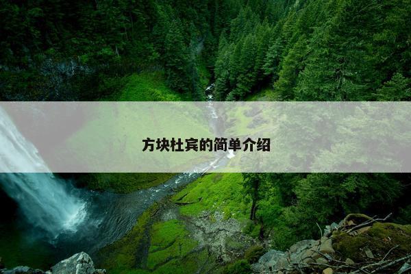 方块杜宾的简单介绍