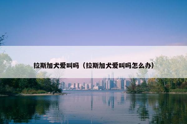 拉斯加犬爱叫吗（拉斯加犬爱叫吗怎么办）