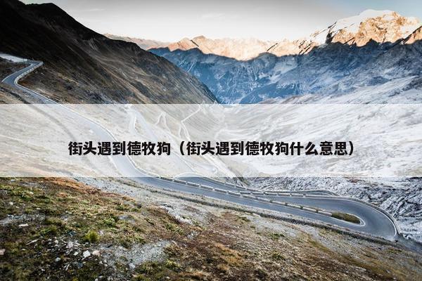 街头遇到德牧狗（街头遇到德牧狗什么意思）