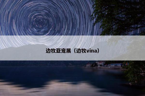 边牧亚宠展（边牧vina）