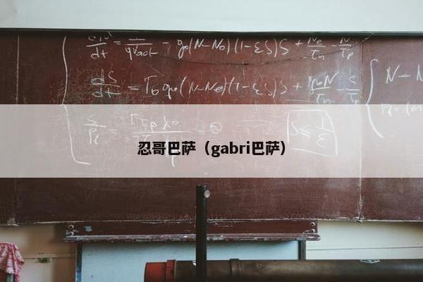 忍哥巴萨（gabri巴萨）
