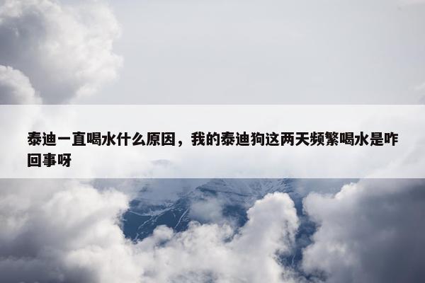 泰迪一直喝水什么原因，我的泰迪狗这两天频繁喝水是咋回事呀