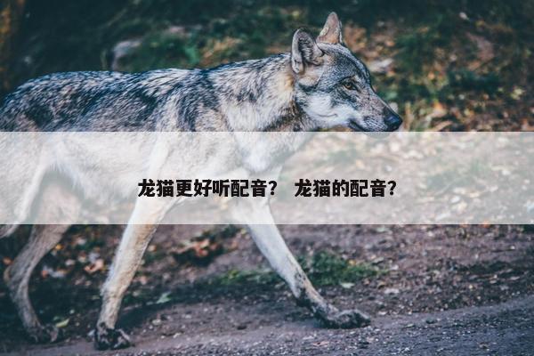 龙猫更好听配音？ 龙猫的配音？