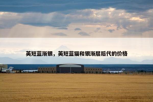 英短蓝渐银，英短蓝猫和银渐层后代的价格