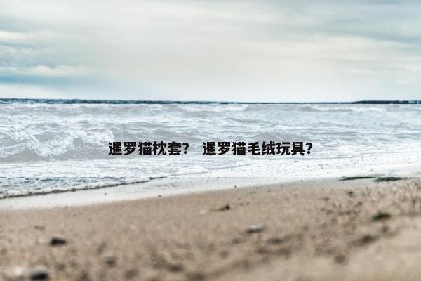 暹罗猫枕套？ 暹罗猫毛绒玩具？