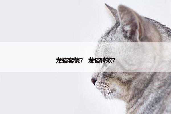 龙猫套装？ 龙猫特效？
