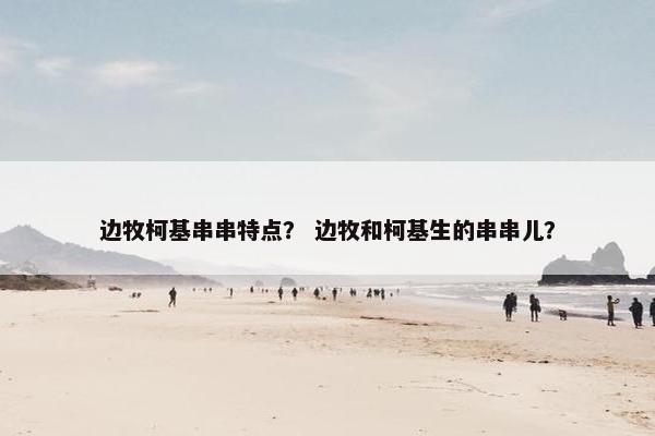 边牧柯基串串特点？ 边牧和柯基生的串串儿？