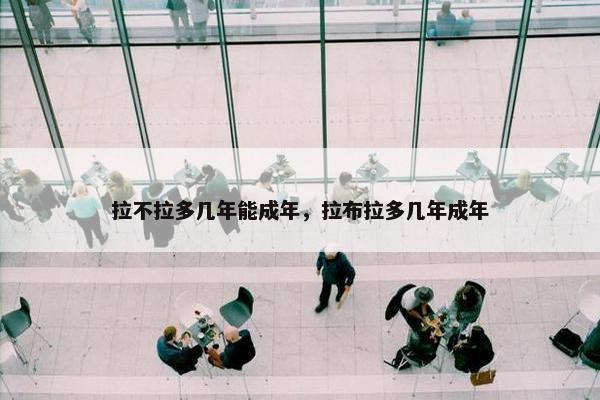 拉不拉多几年能成年，拉布拉多几年成年