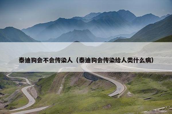 泰迪狗会不会传染人（泰迪狗会传染给人类什么病）