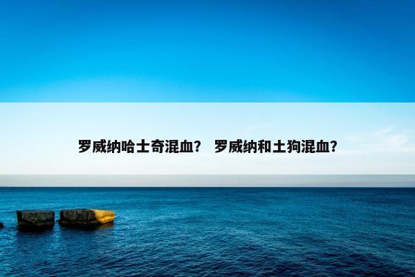 罗威纳哈士奇混血？ 罗威纳和土狗混血？