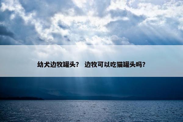 幼犬边牧罐头？ 边牧可以吃猫罐头吗？