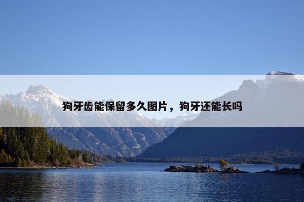 狗牙齿能保留多久图片，狗牙还能长吗