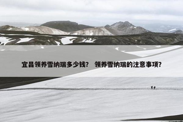 宜昌领养雪纳瑞多少钱？ 领养雪纳瑞的注意事项？